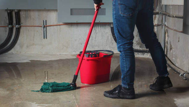 Best Flooded house restoration  in Mapleton, IA