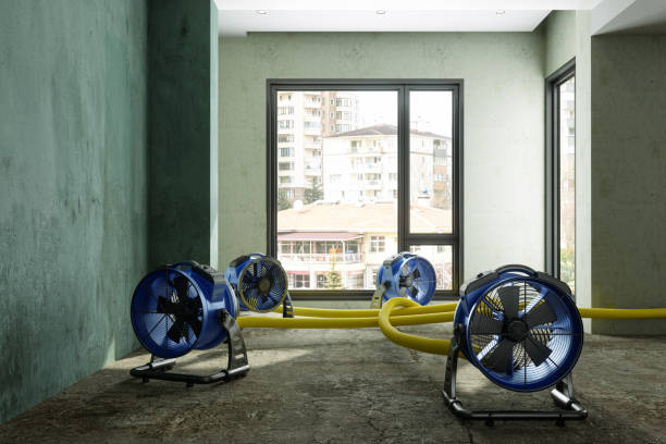 Best Sewage cleanup and water damage restoration  in Mapleton, IA